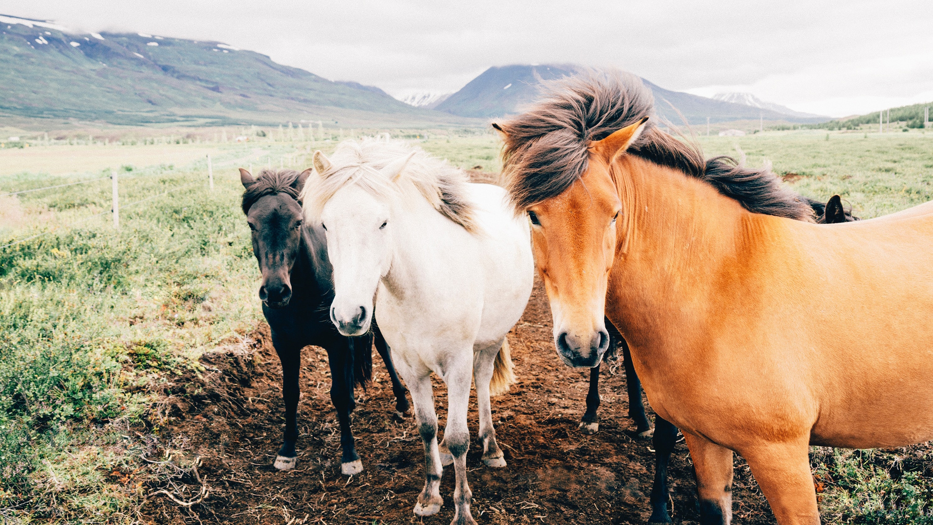 Avoid changing horses in midstream